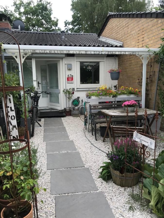 Nias Guesthouse 라인벡 외부 사진